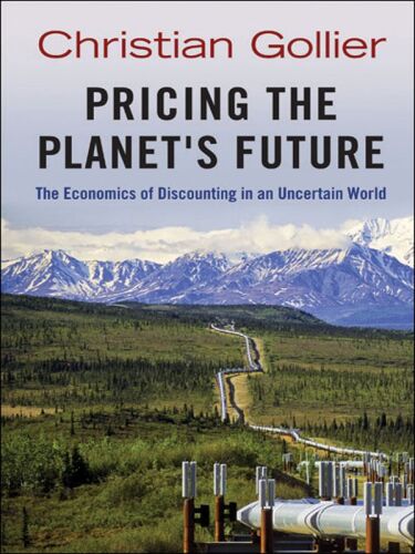 Pricing the Planet's Future: The Economics of Discounting in an Uncertain World