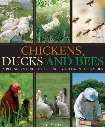 Chickens, ducks and bees : a beginner's guide to keeping livestock in the garden