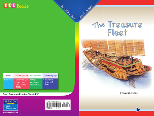 The Treasure Fleet