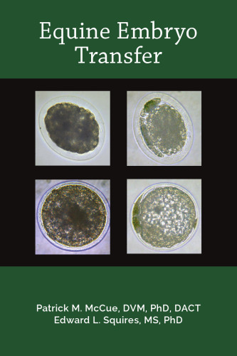 Equine embryo transfer