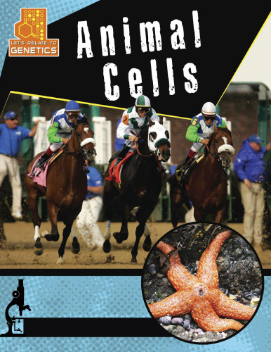 Animal Cells