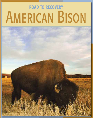 American Bison