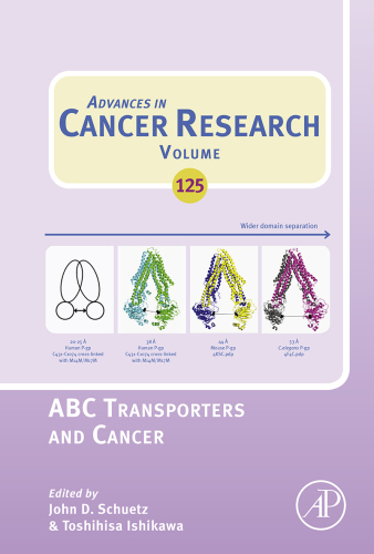 ABC Transporters and Cancer