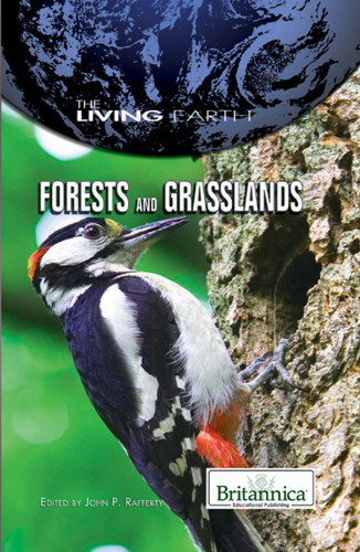 Forests and Grasslands