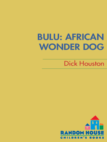 Bulu. African Wonder Dog