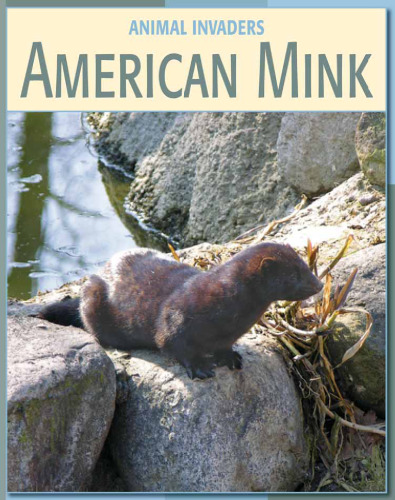 American Mink