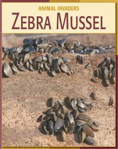 Zebra Mussel