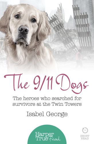 The 9/11 Dogs. The heroes who searched for survivors at the Twin Towers