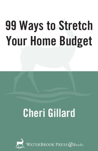 99 Ways to Stretch Your Home Budget