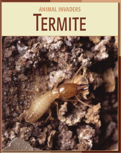 Termite