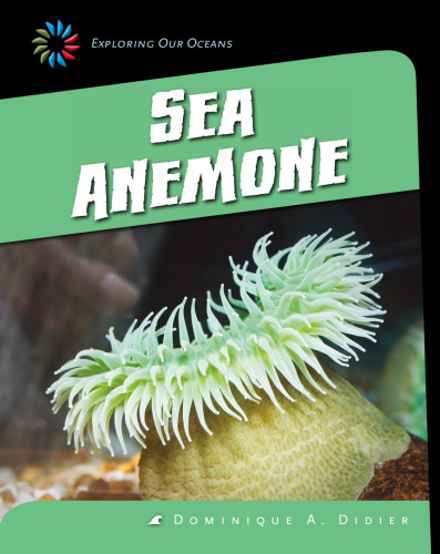 Sea Anemone