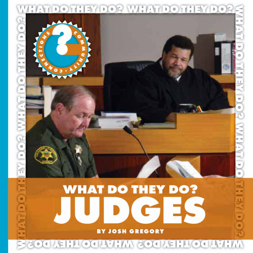 What Do They Do? Judges