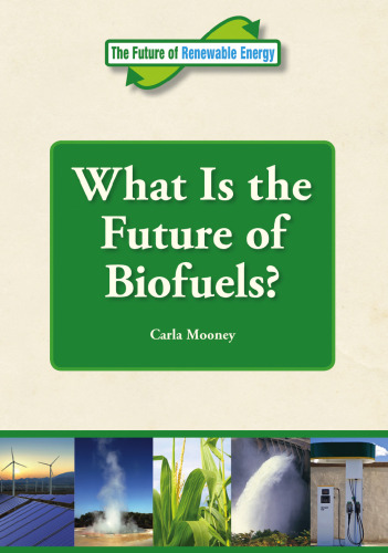 What is the Future of Biofuels?