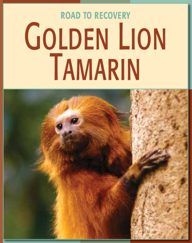 Golden Lion Tamarin