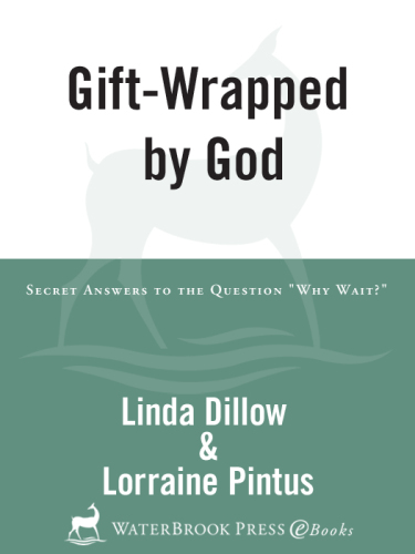 Gift-Wrapped by God. Secret Answers to the Question Why Wait?