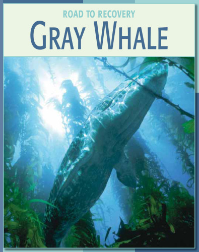 Gray Whale