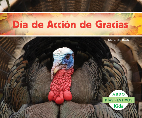 El día de acción de gracias