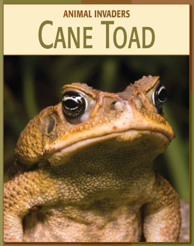 Cane Toad