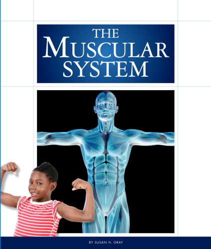The Muscular System