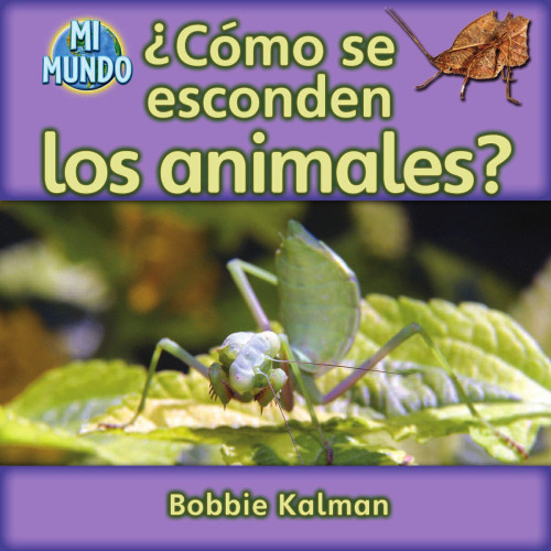 ¿Cómo se esconden los animales?