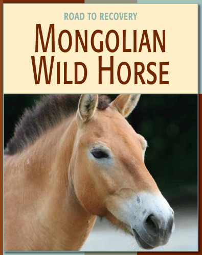 Mongolian Wild Horse