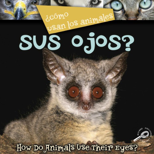 ¿Cómo Usan Los Animales Sus Ojos?