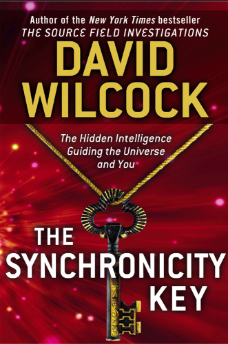 The Synchronicity Key: The Hidden Intelligence Guiding the Universe and You