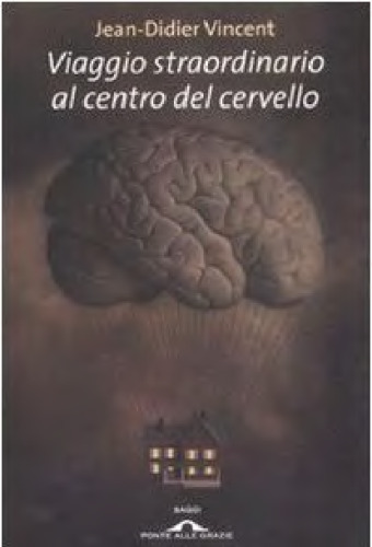 Viaggio straordinario al centro del cervello