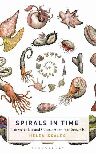 Spirals in Time: The Secret Life and Curious Afterlife of Seashells