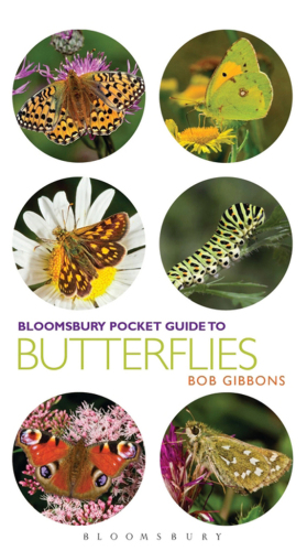 Pocket Guide to Butterflies