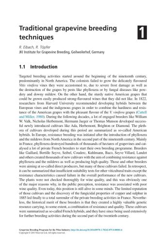 Grapevine Breeding Programs for the Wine Industry : Traditional and Molecular Techniques