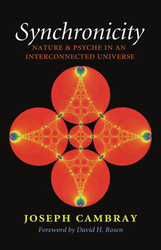 Synchronicity : nature and psyche in an interconnected universe
