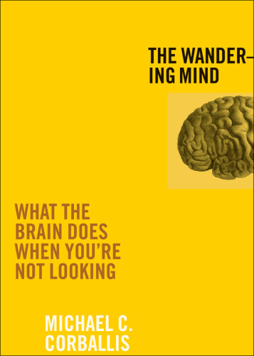 The Wandering Mind: What the Brain Does When You're Not Looking