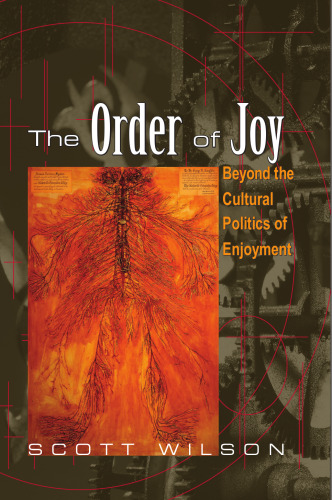 The order of joy : beyond the cultural politics of enjoyment