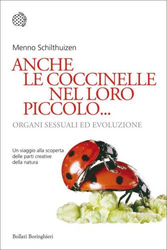 Anche le coccinelle nel loro piccolo... Organi sessuali ed evoluzione