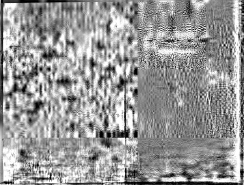 Sexual customs in rural Norway: a nineteenth-century study