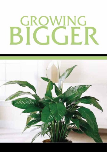 Growing Bigger: When to Expand Your Hydrophonic System