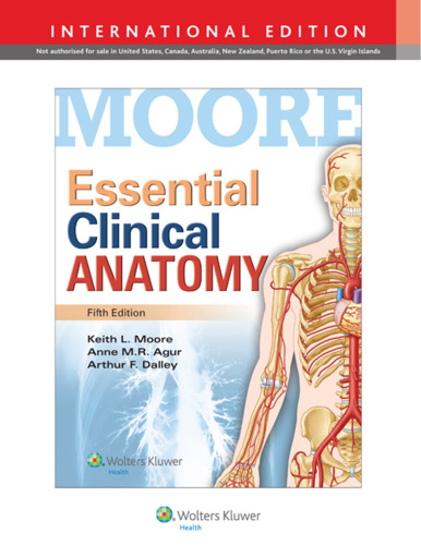 Essential clinical anatomy