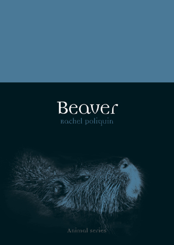 Beaver