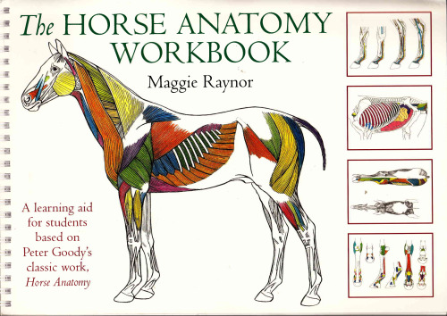 The Horse Anatomy Workbook: A Learning Aid for Students Based on Peter Goody's Classic Work, Horse Anatomy