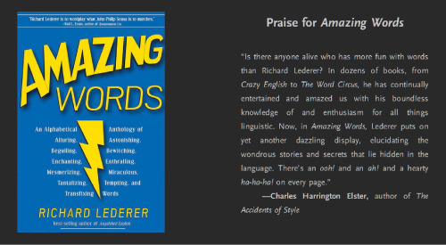 Amazing Words: An Alphabetical Anthology of Alluring, Astonishing, Beguiling, Bewitching, Enchanting, Enthralling, Mesmerizing, Miraculous, Tantalizing, Tempting, and Transfixing Words