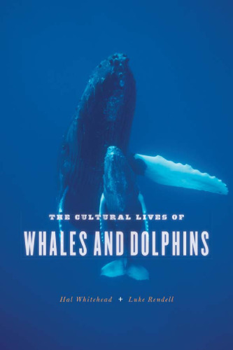 The Cultural Lives of Whales and Dolphins