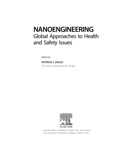 Nanoengineering: Global Approaches to Health and Safety Issues
