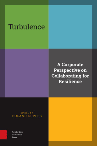 Turbulence: A Corporate Perspective on Collaborating for Resilience