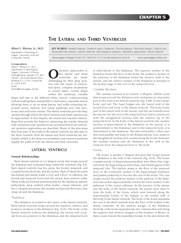 The Supratentorial cranial space : microsurgical anatomy and surgical approaches