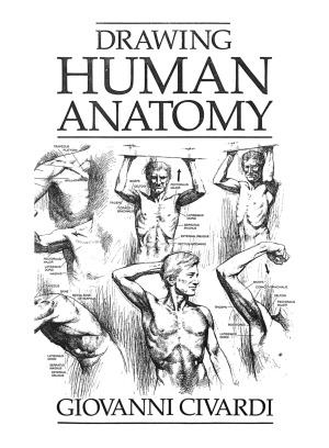 Drawing Human Anatomy
