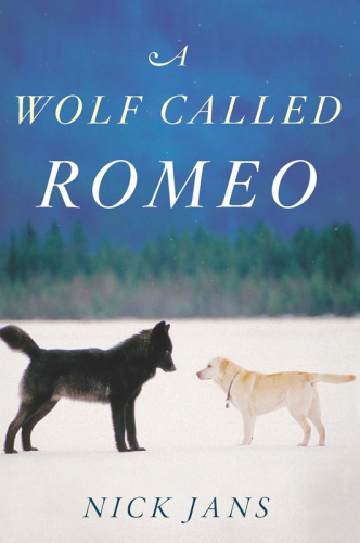 A Wolf Called Romeo