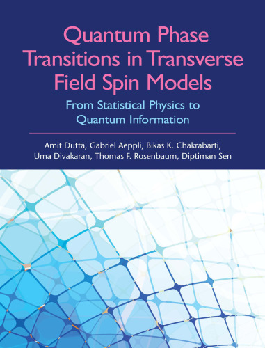 Quantum Phase Transitions in Transverse Field Spin Models: From Statistical Physics to Quantum Information