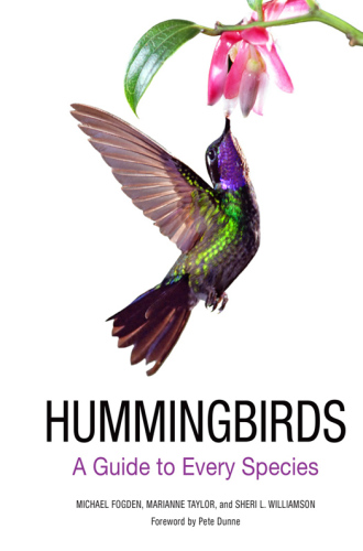 Hummingbirds: A Life-size Guide to Every Species