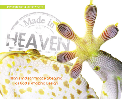 Made in Heaven: Man's Indiscriminate Stealing of God's Amazing Design